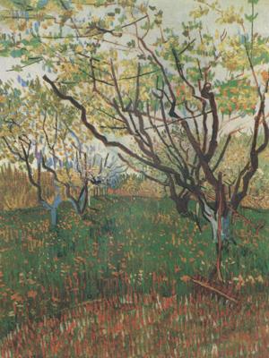 Vincent Van Gogh Orchard in Blosson (nn04) Germany oil painting art